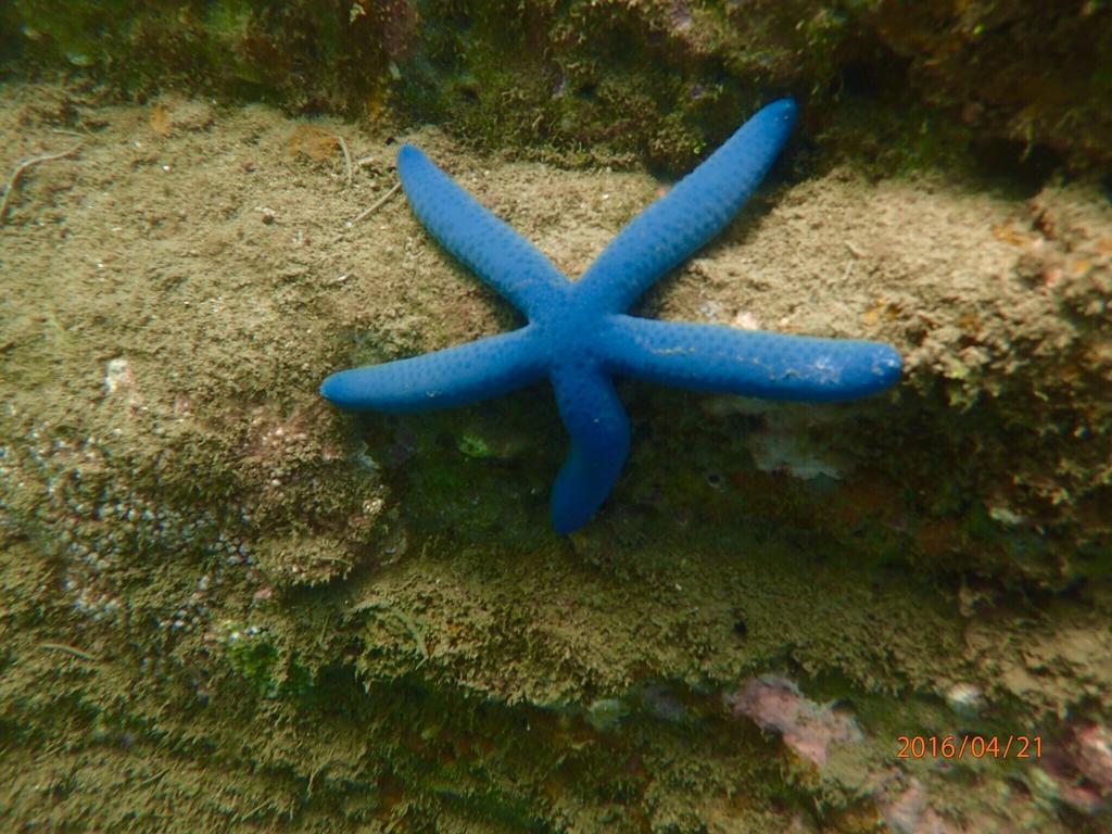 Blue Ocean Sunny Bs Daire Checheng Dış mekan fotoğraf